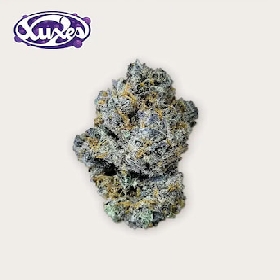 Purple Haze CBD > Xuxes